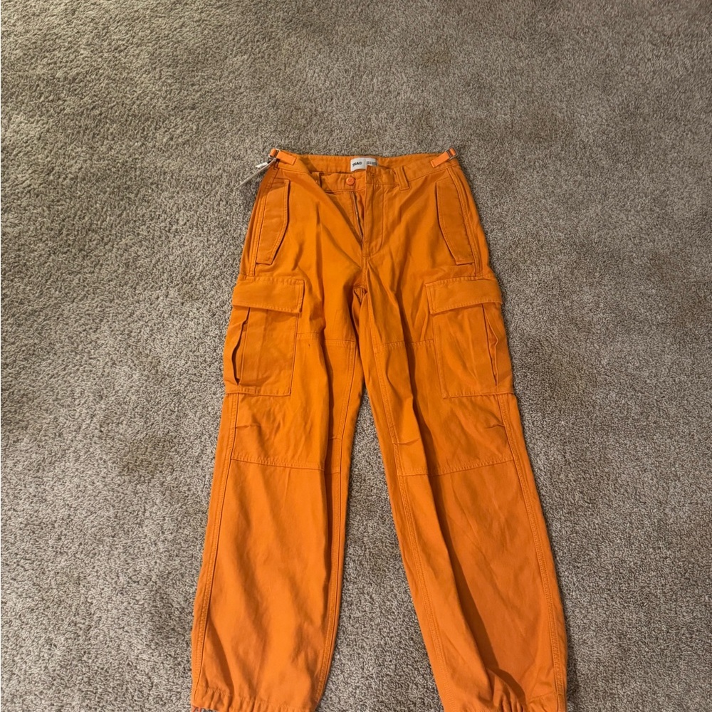 Aritiza cargo pants